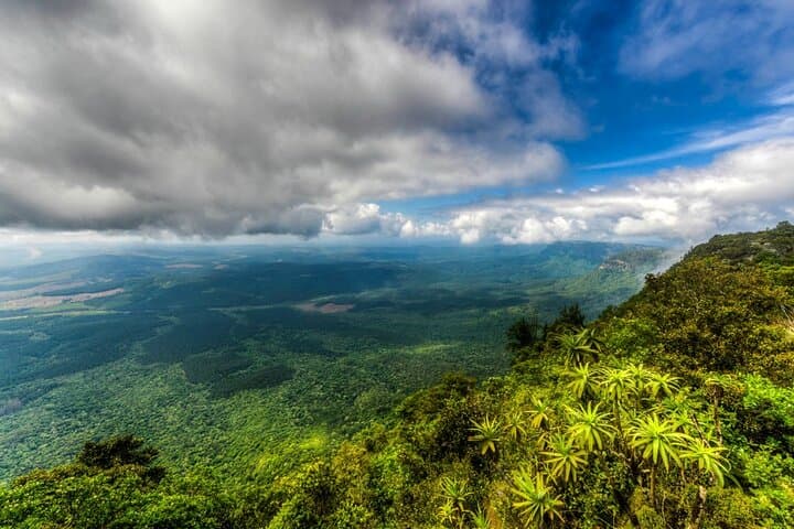 From Hazyview- Full Day Panoramic Tour