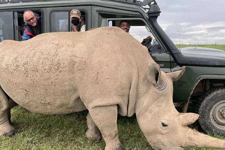 11 Days Kenya Safari Tour on 4x4 Landcruiser Jeep