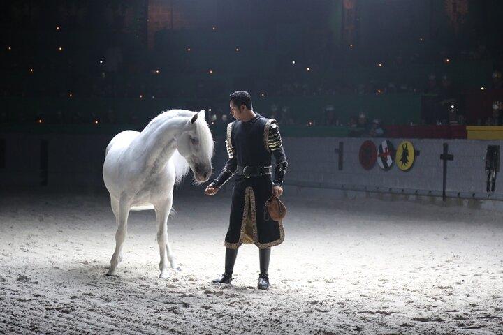 Medieval Times Dinner Show in Orlando