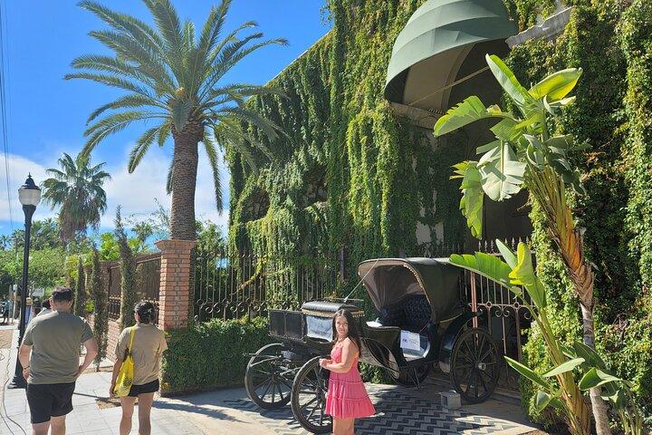 Art and Culture in Todos Santos
