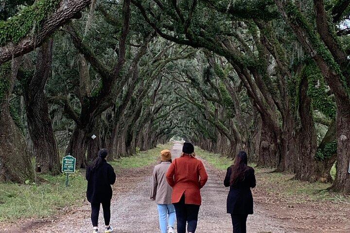Whitney Plantation & Museum Tour | Pickups from New Orleans