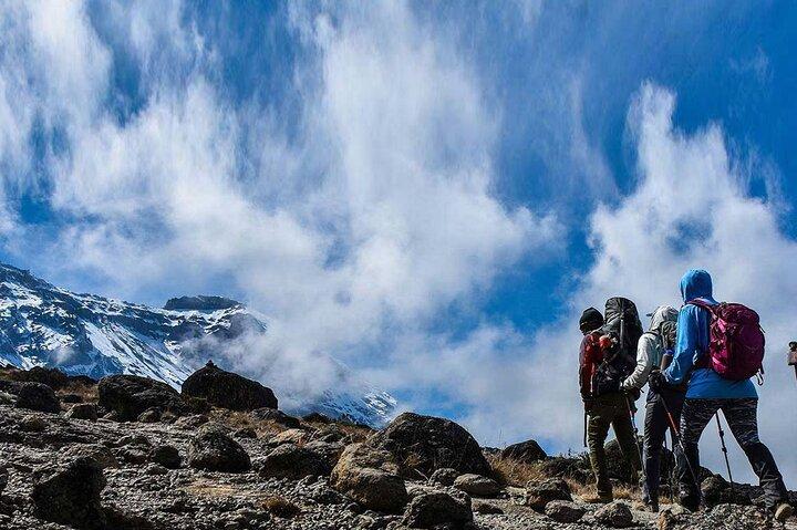 Mount Kenya National Park Full-Day Hike