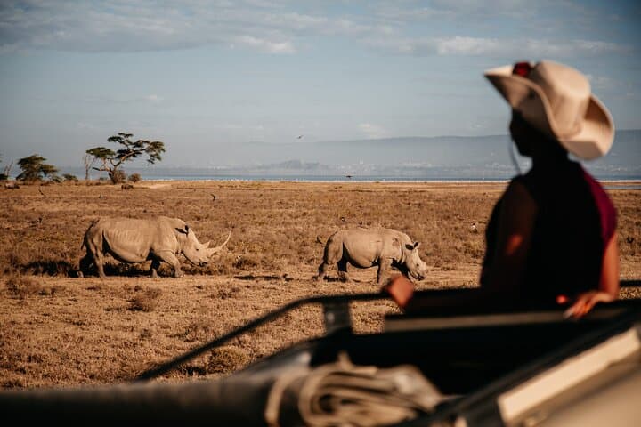 2Days Solio Ranch Luxury Safari by 4x4 Landcruiser Jeep