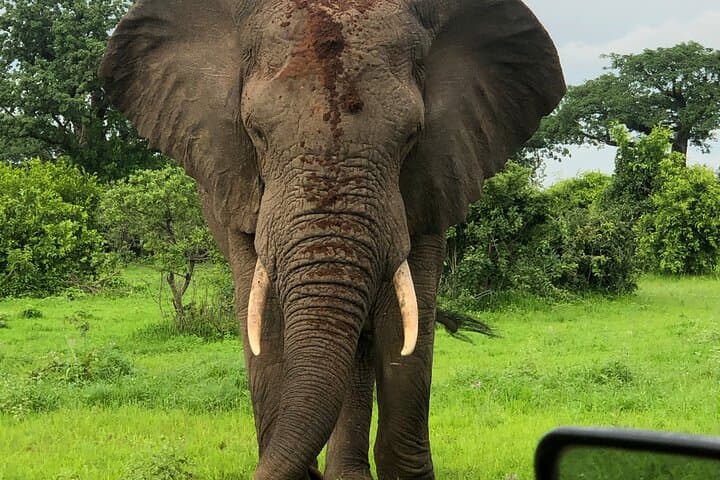 3-Day Private Mikumi Safari Experience from Zanzibar – Return