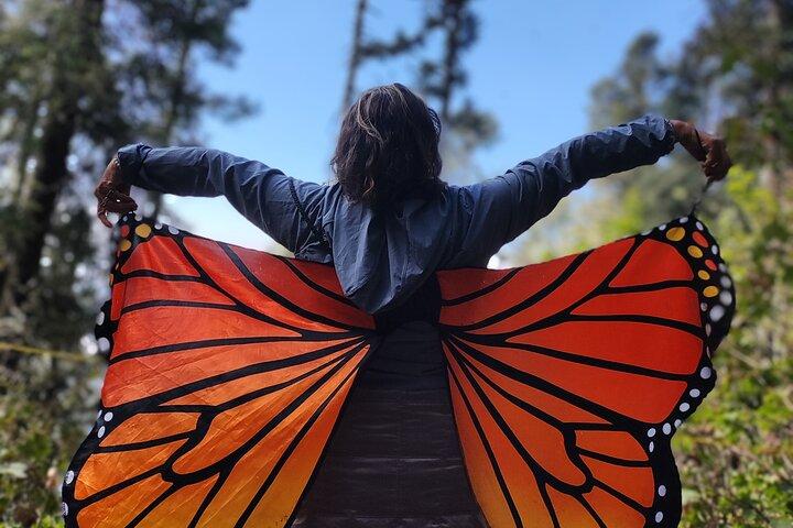 Monarch Butterfly Reserve: Piedra Herrada Magical Valle de Bravo