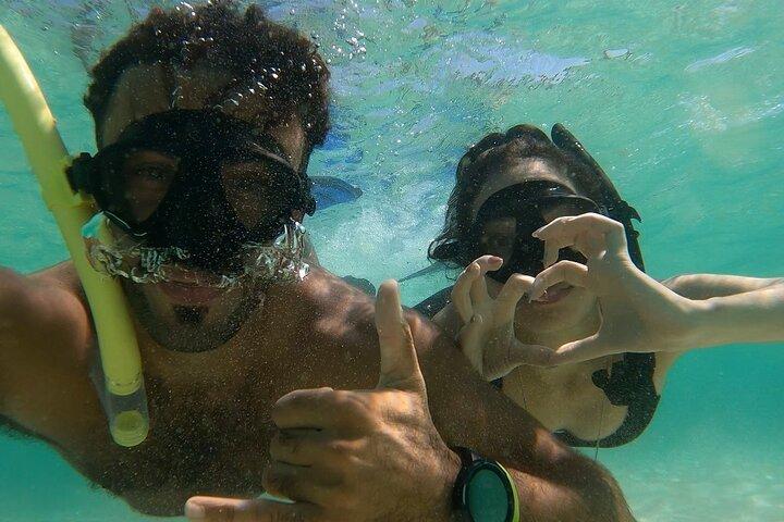 Daymaniyat Islands Snorkeling from Muscat – Marine Reserve