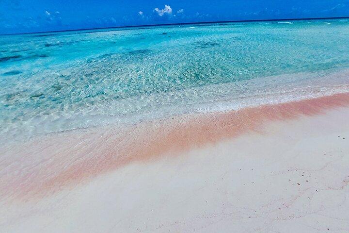 REEF ISLAND | private island | pink sand | natural swimming pools