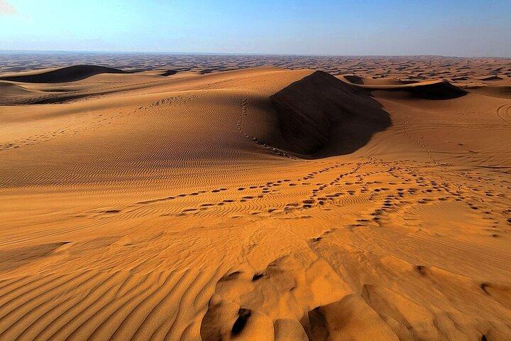 Dubai: Desert Safari, Quad Bike, Camel Ride with VIP Majlis