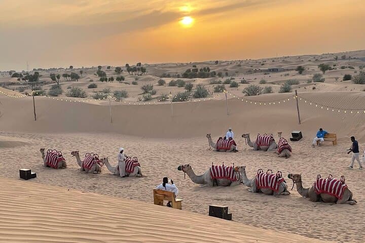 Dubai: Desert Safari, Quad Bike, Camel Ride with VIP Majlis