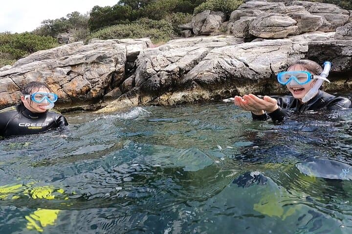 Athens, Nea Makri: Guided Small Group Snorkeling Boat Excursion