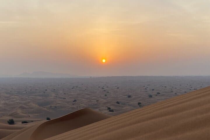 Evening Desert Safari & camel ride – Without Camp Experience