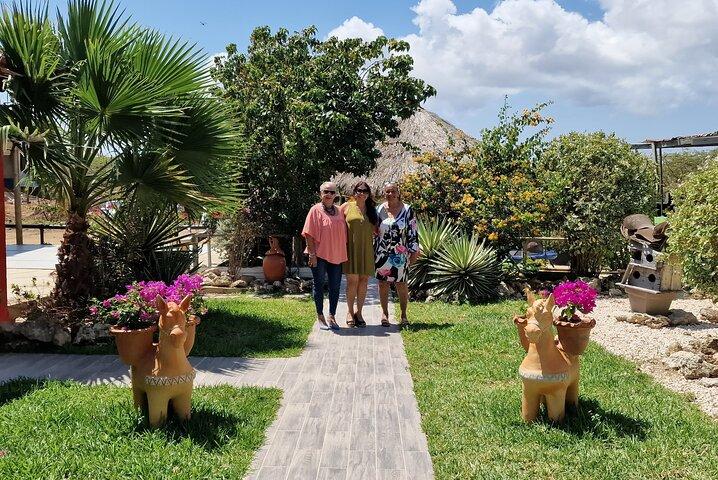 Aruba Ecological & Coastline Horseback Ride with Beach Photo Stop