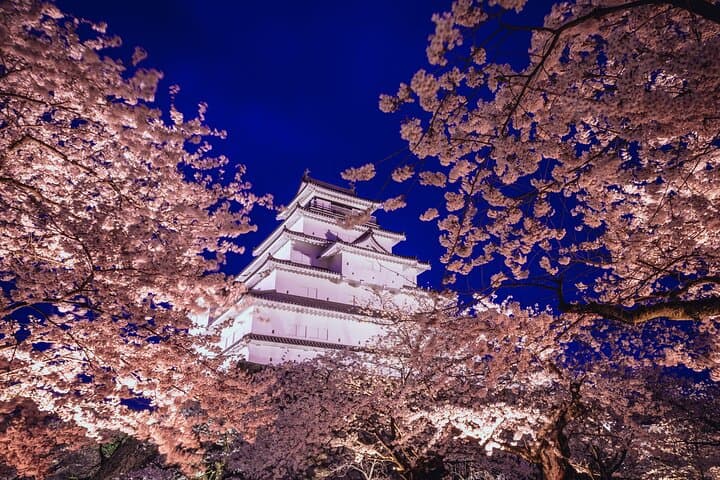 Private & Customizable Tokyo Tour (10 Hours) with English Driver