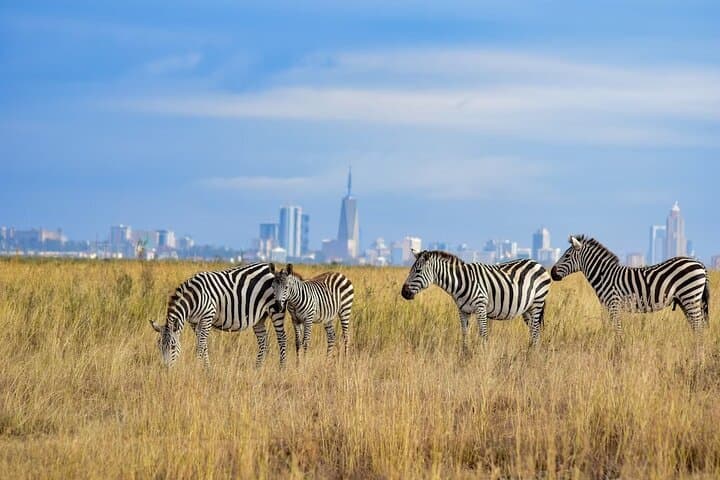 5 Hour Game Drive To Nairobi National by 4*4 Jeep
