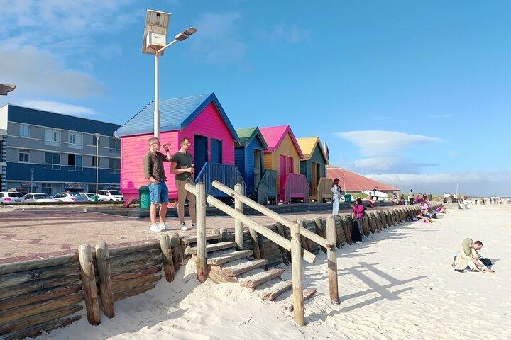 Full-Day Tour to Cape of Good Hope & Penguins from Cape Town