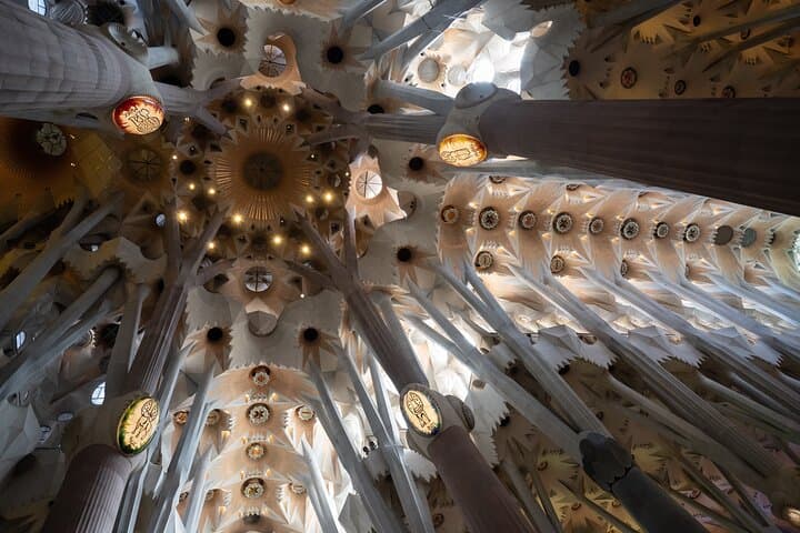 Sagrada Familia and Guell Park Private Tour
