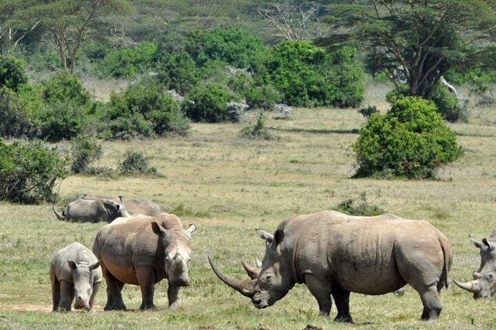 2 Days Solio Ranch Luxury Safari by 4x4 Land Cruiser Jeep