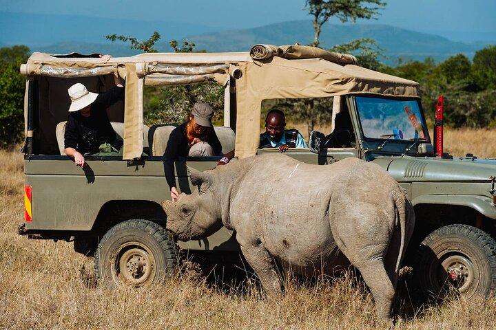 5 Days Maasai Mara and Ol Pejeta Conservancy Safari Tour