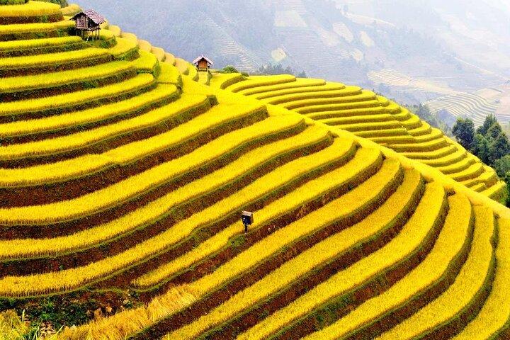 Private Car: From Ninh Binh (Tam Coc,Trang An) To Sapa