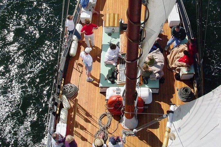 Key West Sunset Sail Aboard Legendary Schooner Appledore