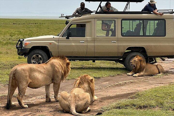 7 Days Private safari Tour in Tanzania