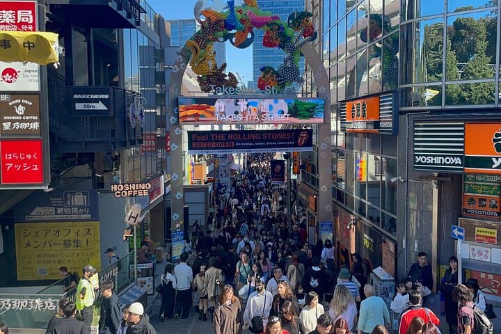 Private Tokyo Tour with Japanese Local Guide