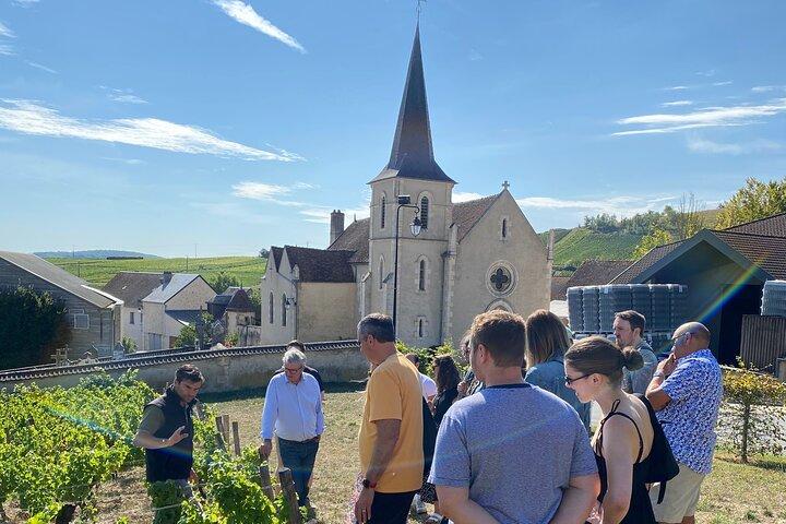 Private Sancerre vineyards & cellars tour from Paris + Sommelier