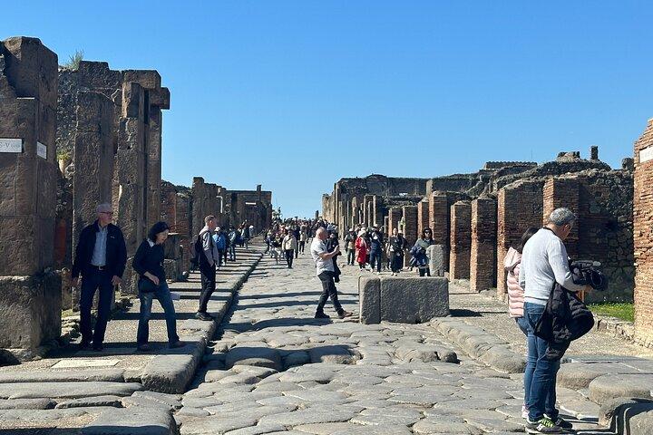 Pompeii and Vesuvius Tour from Positano Small Group