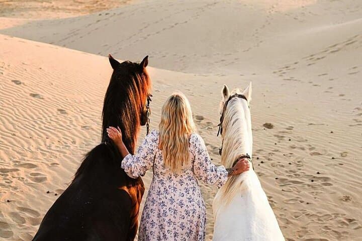 Horseback riding on Essaouira beach with transport