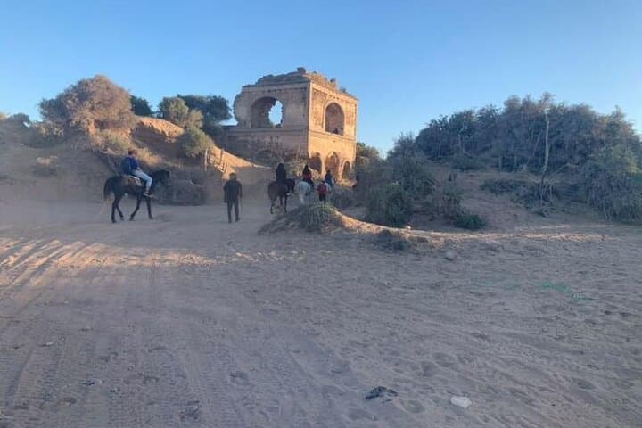 Horseback riding on Essaouira beach with transport