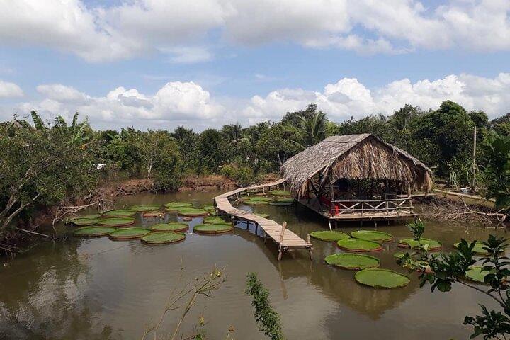 Rural and Tropical Island Tour at Can Tho