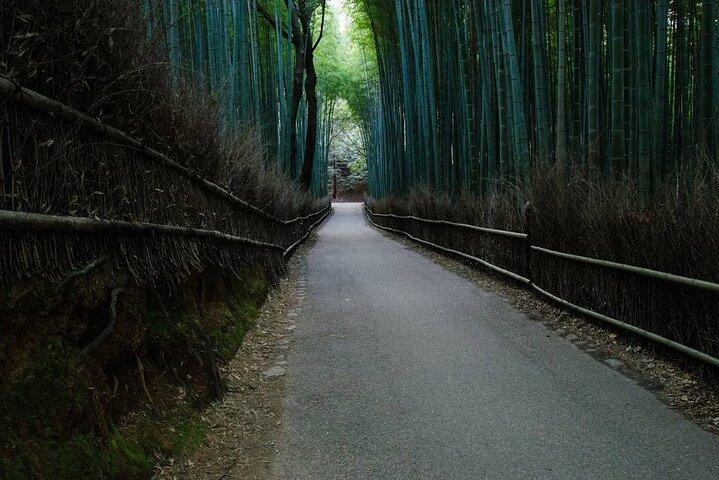 Kyoto Bamboo Forest & Golden Pavilion E-Bike Tour