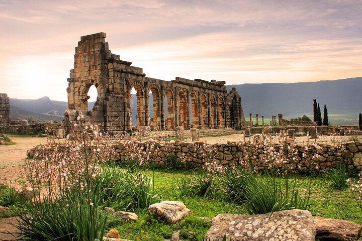 From Fes to Volubilis, Moulay Idriss and Meknes day trip
