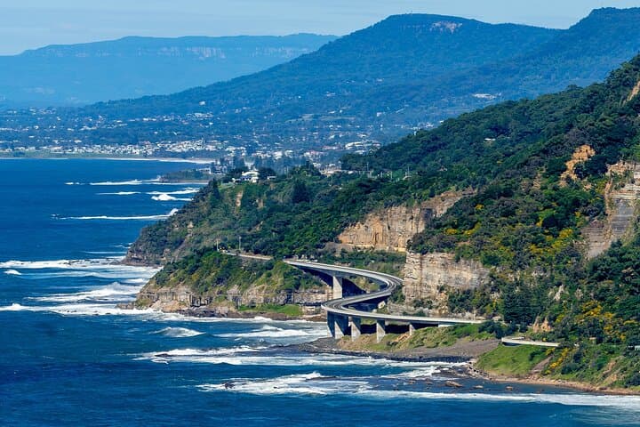 Sea Cliff Bridge, Kiama Blowhole, Beaches & Wildlife Small Group