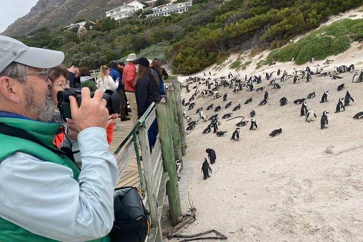 Table Mountain Boulder's Beach and Cape Point
