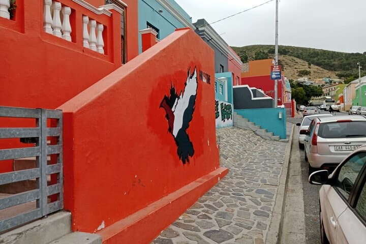 Bo Kaap Seal Island World of Birds and Constantia Wine Tasting
