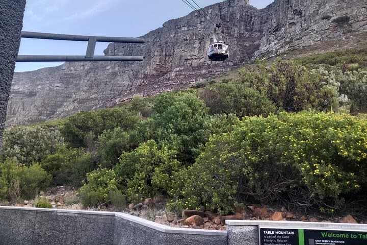 Day Tour to Table Mountain , Cape of Good Hope & Penguins