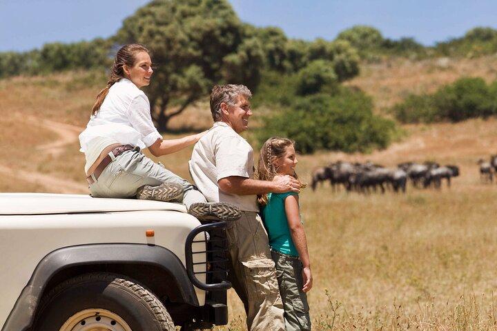8-Day Private Luxury Wildlife Safari in Tanzania