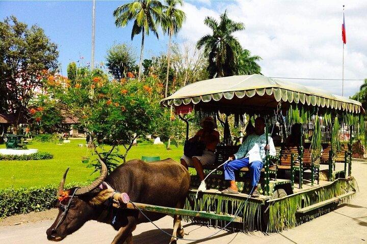 Villa Escudero Day Tour From Manila