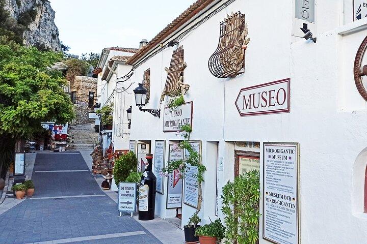 Excursion to Guadalest, Altea and entrance to the Fuentes del Algar