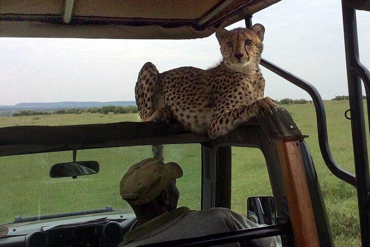 6 Days in Great Lakes of Kenya and Masai Mara Safari