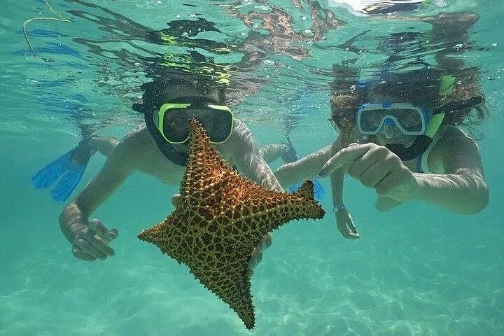 Saona Island Day Trip From Punta Cana with Lunch and Open Bar