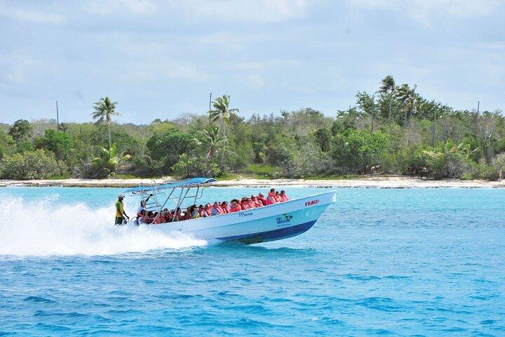 Saona Island Day Trip From Punta Cana with Lunch and Open Bar