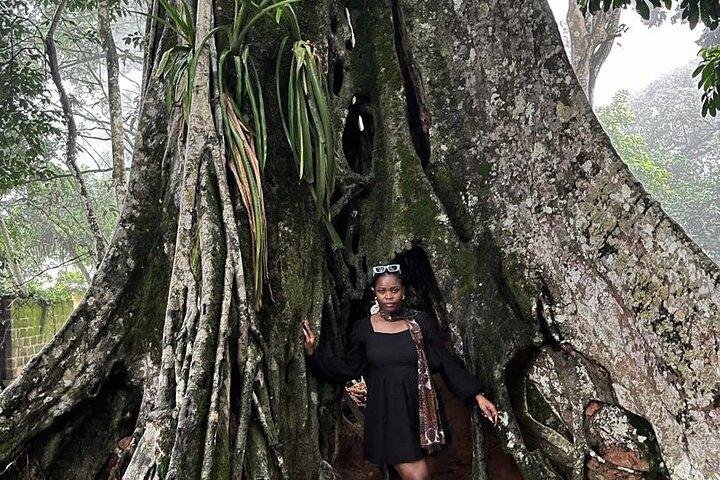 Full Day Tour Waterfalls Quad biking and Aburi Botanical Gardens