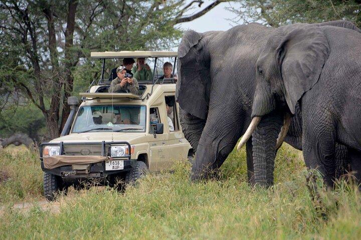 4 Days Masai Mara Mid Range Explorer 4WD Small Group Tour