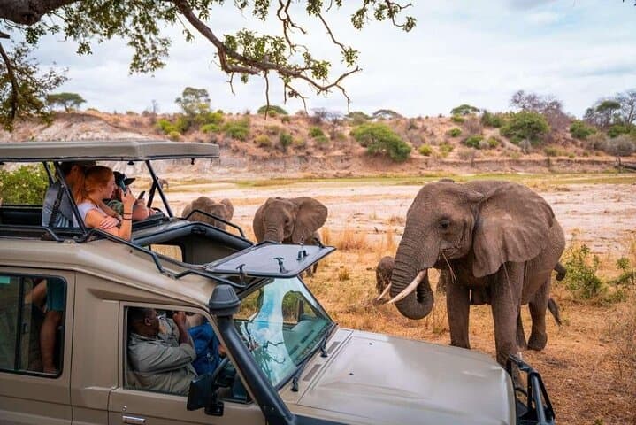 5 Day Aberdares Ol Pejeta and Samburu Safari on 4x4 Jeep