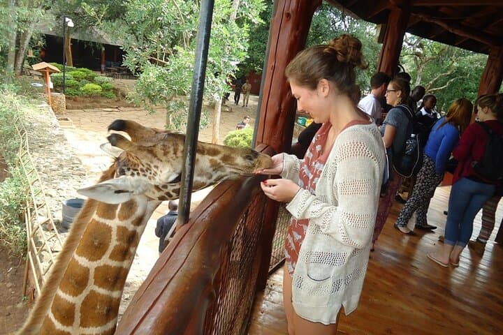 Giraffe Center Half Day Trip from Nairobi