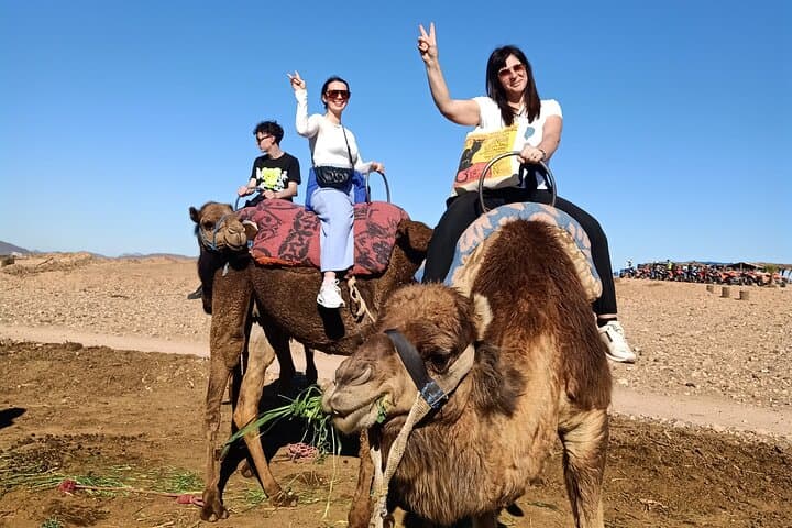 Quad Bike and Camel Ride in Marrakech