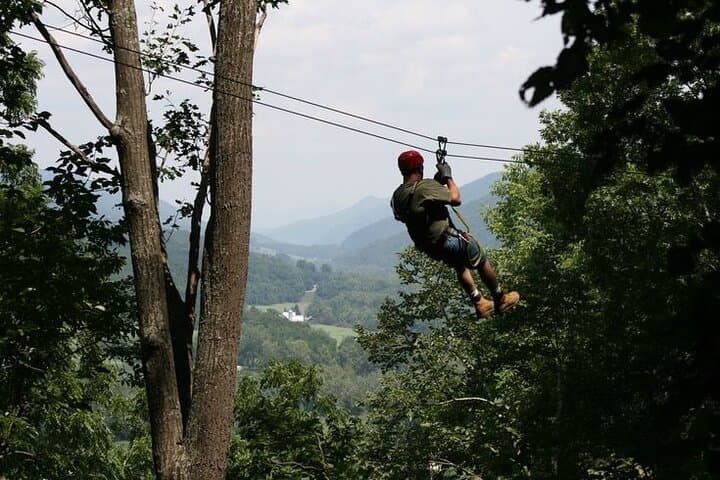 Zip-lining in Cape Town - Based at the Foot of the Table Mountain