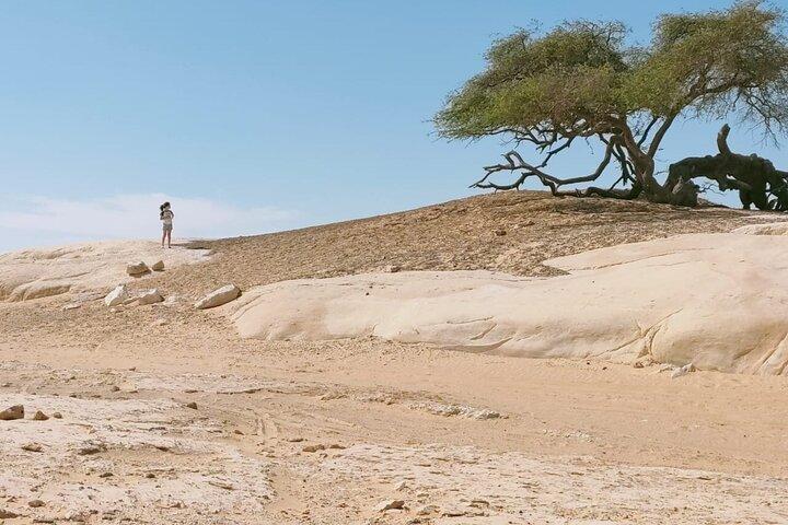 3 Days in Bahariya Oasis and White Desert Safari Tour from Cairo